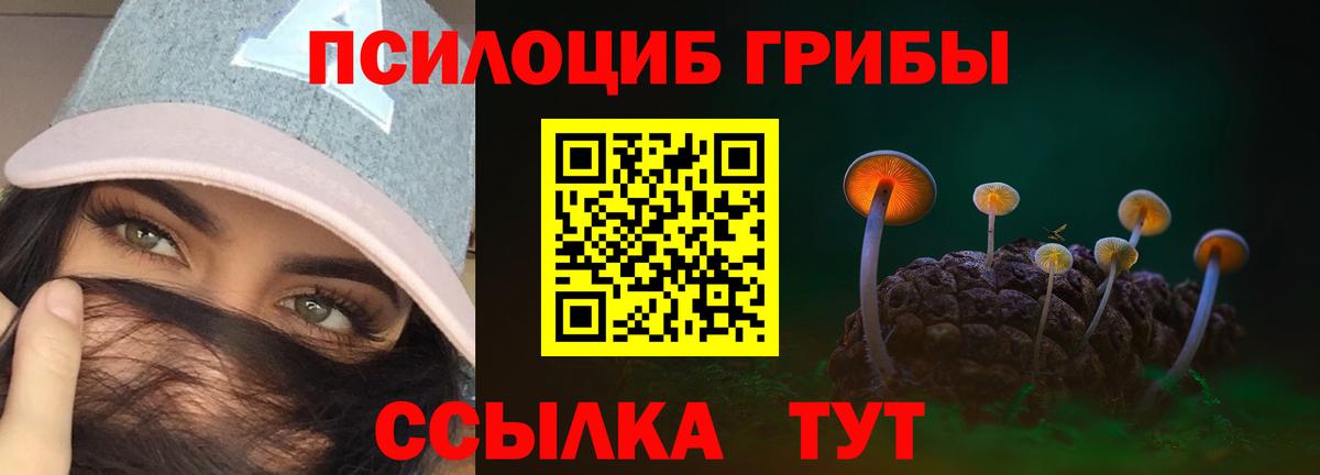 Галлюциногенные грибы GOLDEN TEACHER  Вход с VPN  Псилоцибиновые грибы ЛСД  Горячий Ключ 